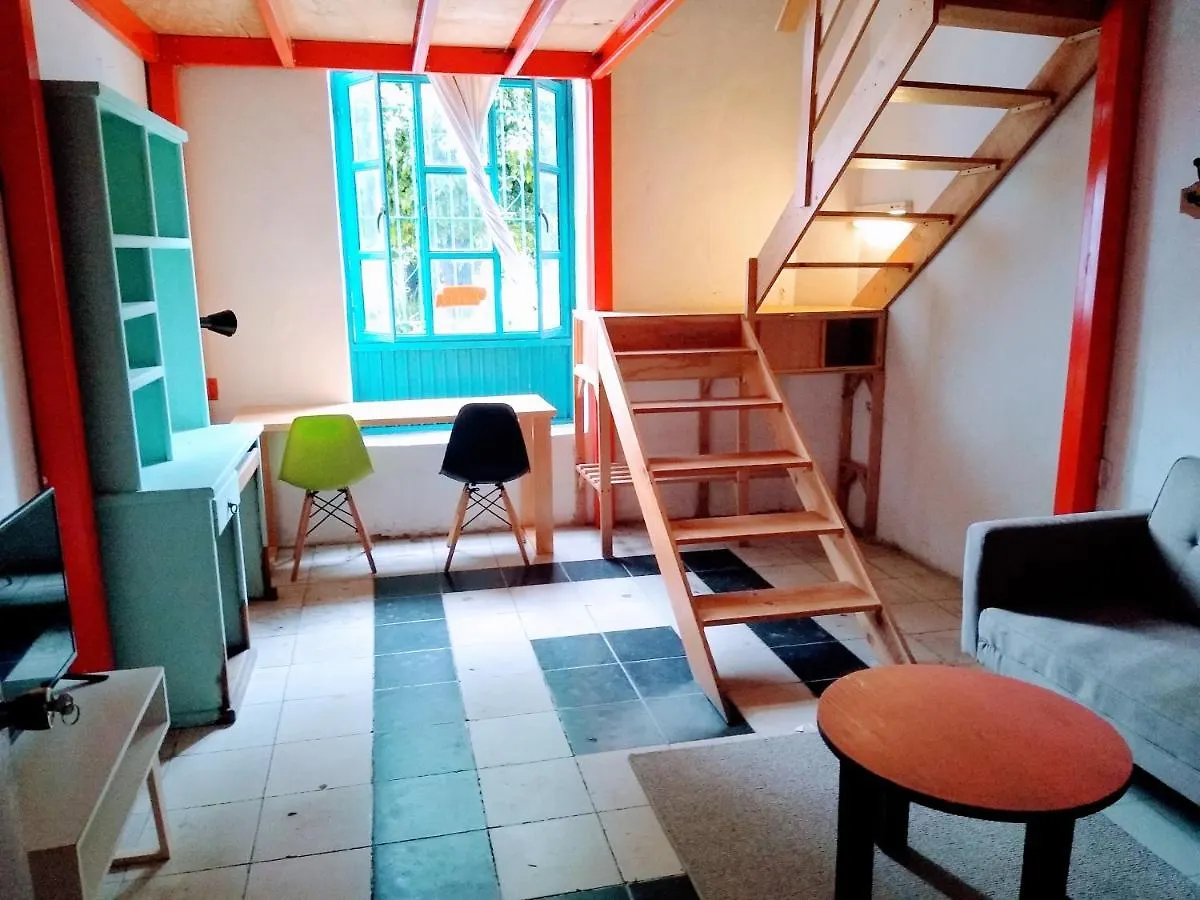 Blue Pepper Coliving Downtown 0*, Guadalajara Mexiko