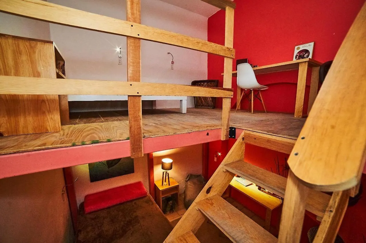 Blue Pepper Coliving Downtown Hostel Guadalajara