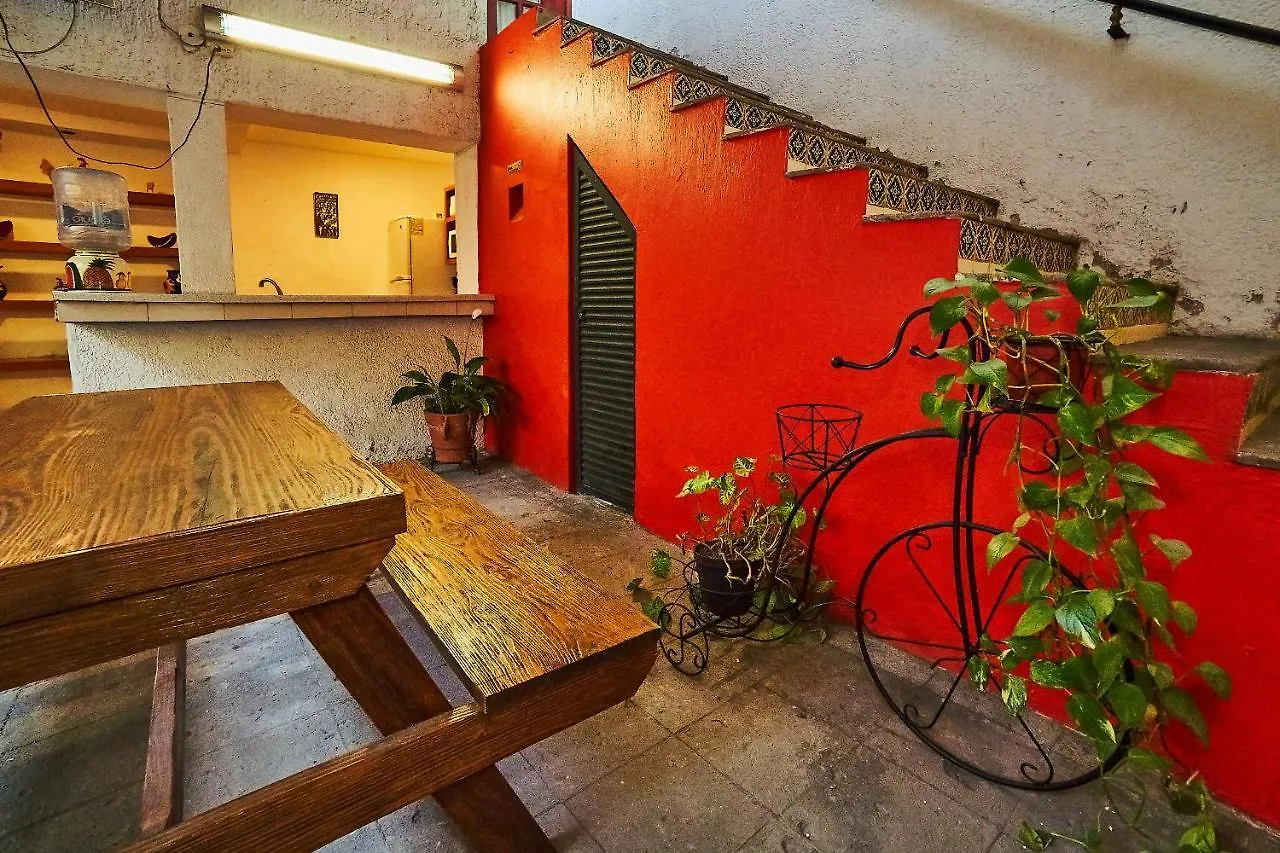 Blue Pepper Coliving Downtown Guadalajara