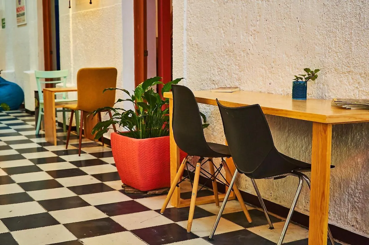 אכסניה Blue Pepper Coliving Downtown מקסיקו