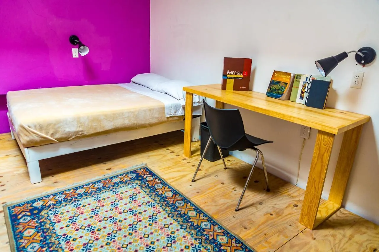 אכסניה Blue Pepper Coliving Downtown מקסיקו