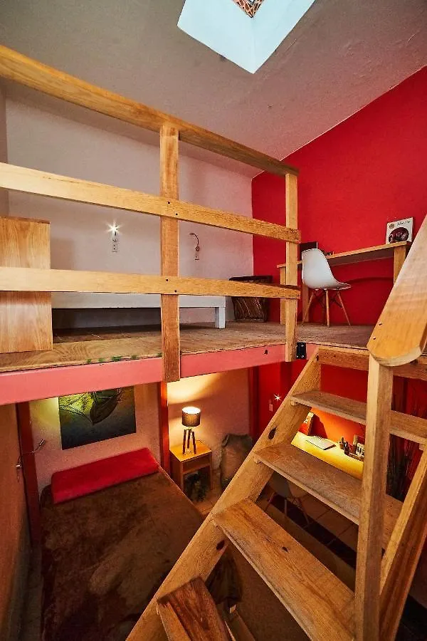 אכסניה Blue Pepper Coliving Downtown