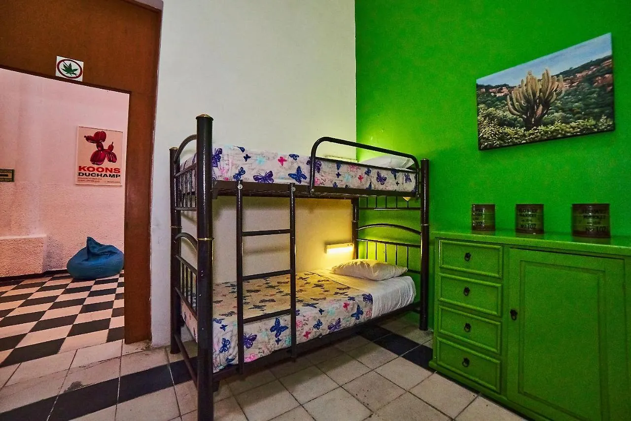 Blue Pepper Coliving Downtown גואדלחארה