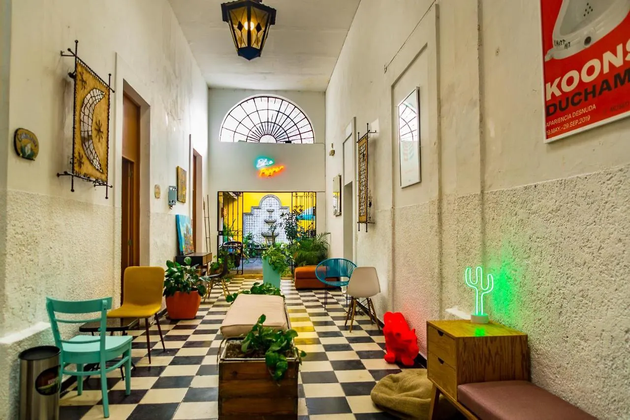 旅馆 Blue Pepper Coliving Downtown 墨西哥