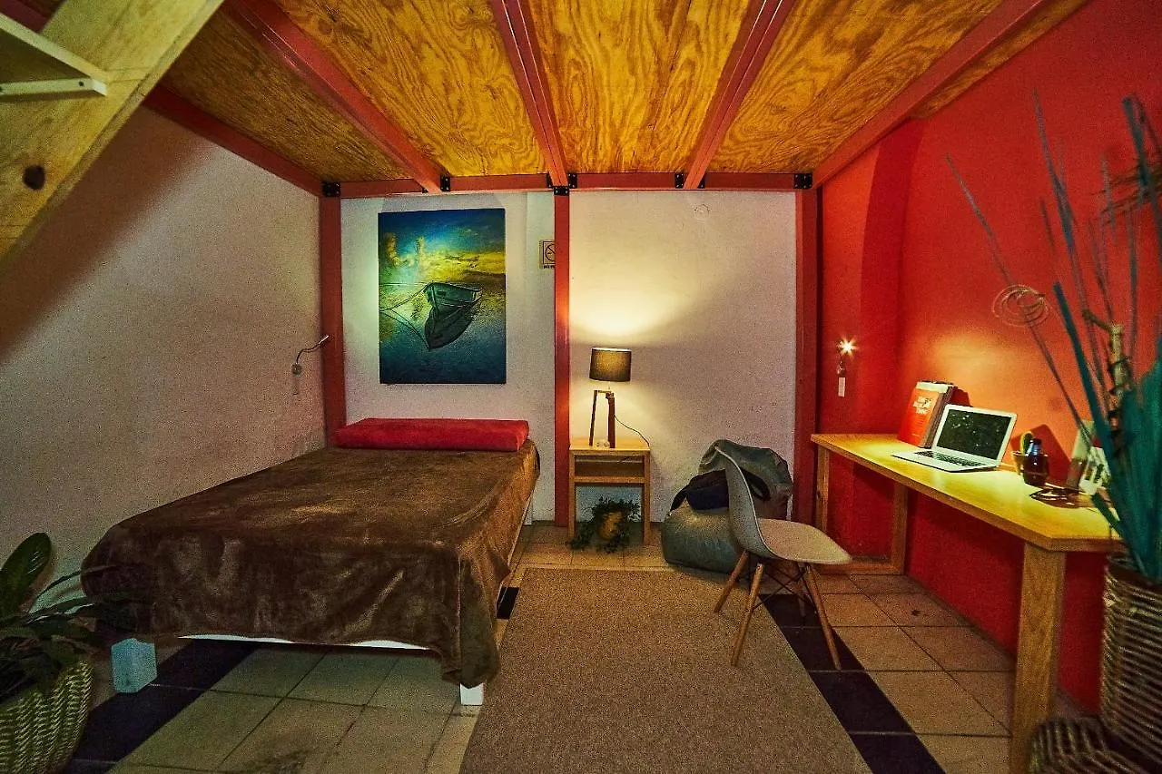 Blue Pepper Coliving Downtown 旅馆 瓜达拉哈拉