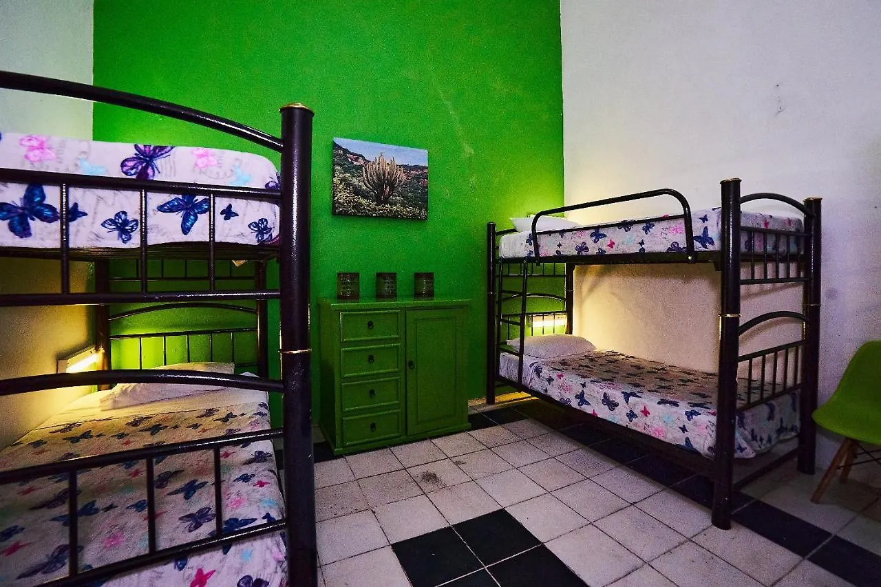 Blue Pepper Coliving Downtown 旅馆