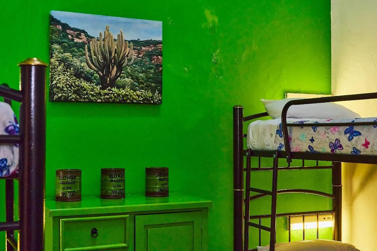 旅馆 Blue Pepper Coliving Downtown 墨西哥